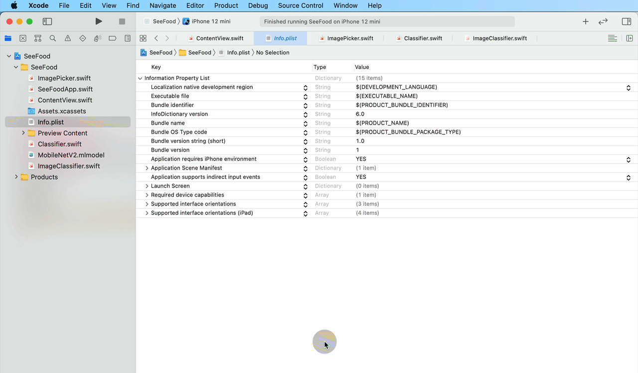SwiftUI app for image recognition: privacy setting